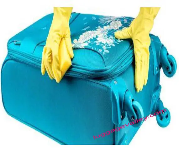 how to clean dirty fabric luggage